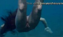 HD-video av unga modeller i bikini som vimlar i vattnet