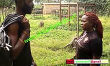 Forró randevú a vidéki állatkertben - Mboa xvideos egyedülálló kínálata
