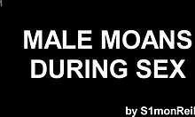 Kompilace mužských sténání: Sbírka gay zvukových efektů